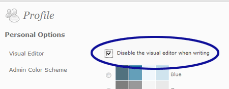 WordPress screenshot showing the option for disabling the visual editor