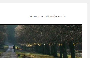 WordPress screenshot showing the default tagline