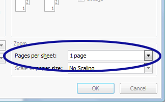 Word 2007 screenshot showing the Pages Per Sheet option