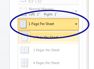 Word 2010 screenshot showing the Pages Per Sheet selection menu