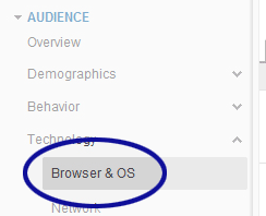 Google Analytics screenshot showing the Browser & OS option