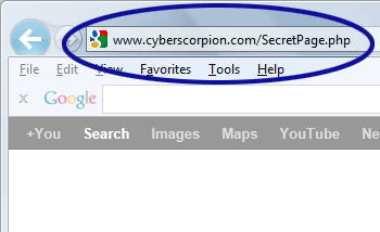 Screenshot showing the browser's address bar