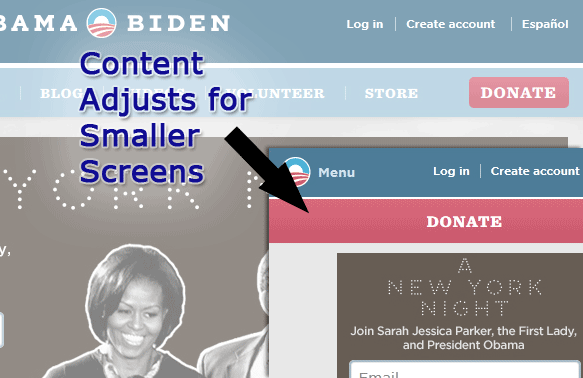 Screenshots from Barack Obama's website