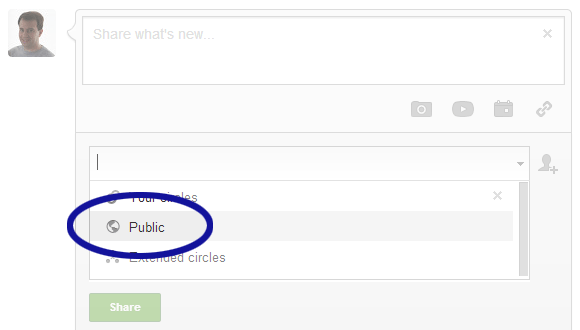 Google+ screenshot showing how to select the public option
