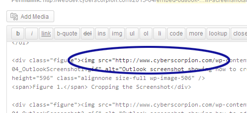 WordPress screenshot showing a sample image tag