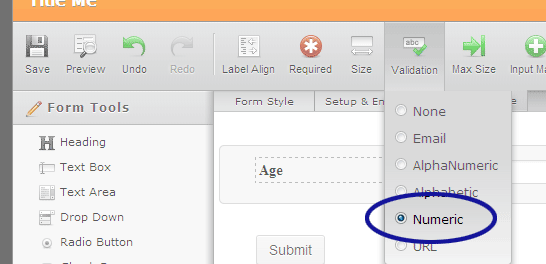 JotForm screenshot showing how the validation options for text fields