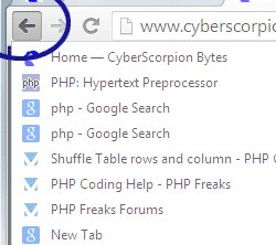 Chrome screenshot showing the secret back-button menu