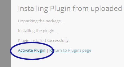 WordPress screenshot showing the Activate Plugin option