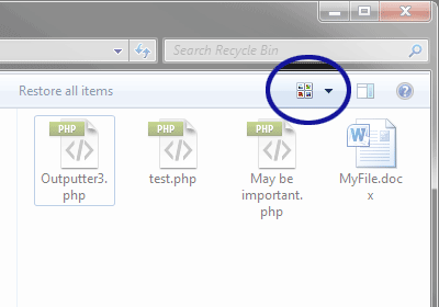 Screenshot showing the Views icon for the Recycle Bin
