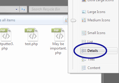 Screenshot showing the Details view option
