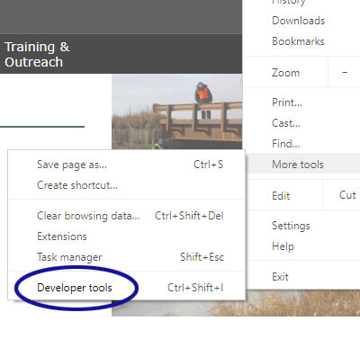 Google Chrome screenshot showing the "Developer tools" option